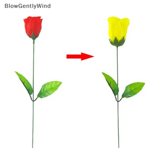 Blowgentlywind ดอกกุหลาบเปลี่ยนสีได้ (เปลี่ยนสีแดง สีเหลือง) เทคนิคมายากลดอกกุหลาบเปลี่ยนสีได้ BGW