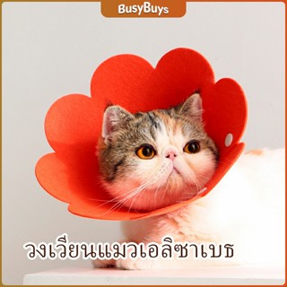 B.B. คอลล่าแมว ปลอกคอดอกไม้ ปลอกคอกันเลีย คอลล่าสุนัข  Cat coll