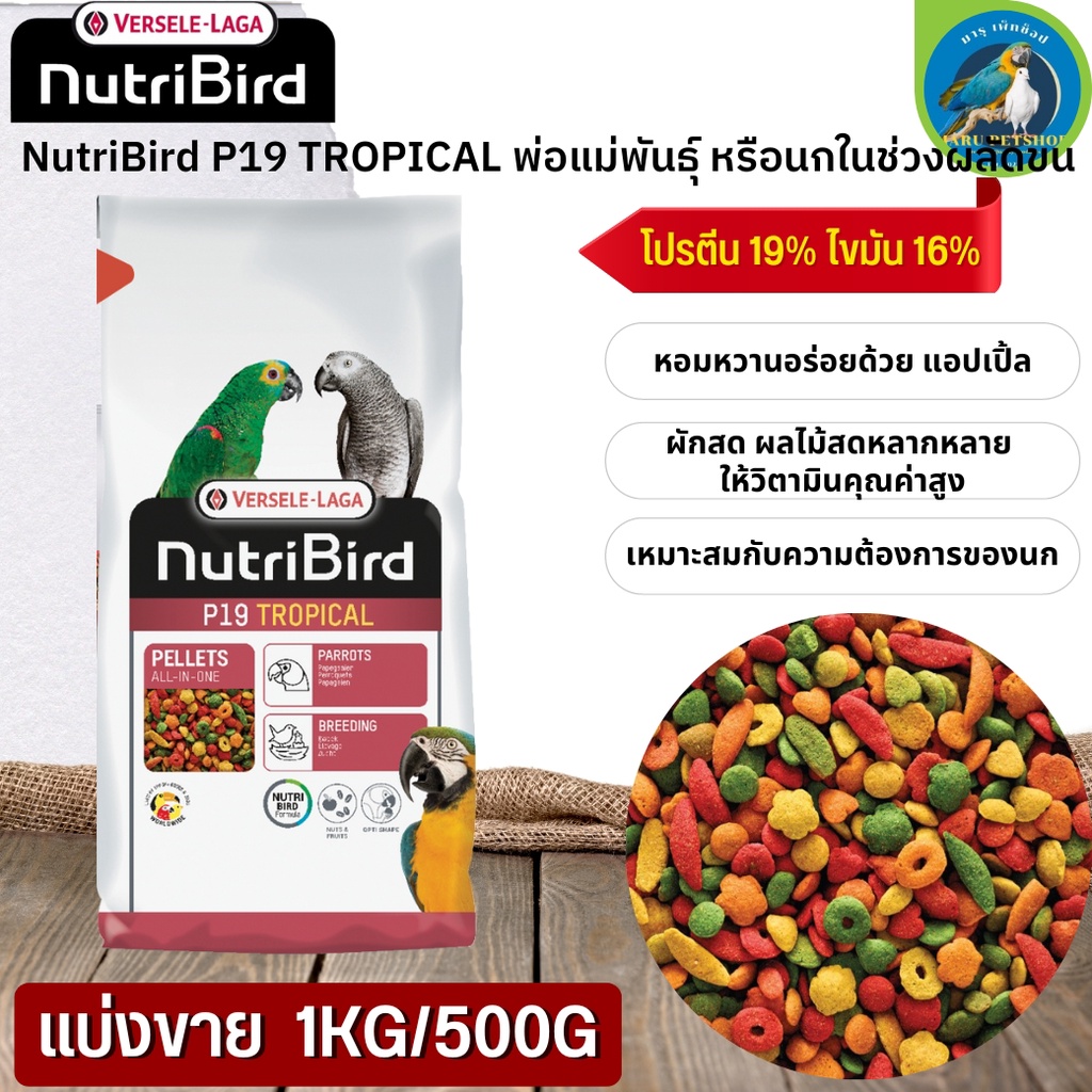 NutriBird P19 Tropical อาหารสำเร็จรูปอัดเม็ดสำหรับนกขนาดใหญ่ (แบ่งขาย 500G / 1KG) นกได้รับสารอาหารคร