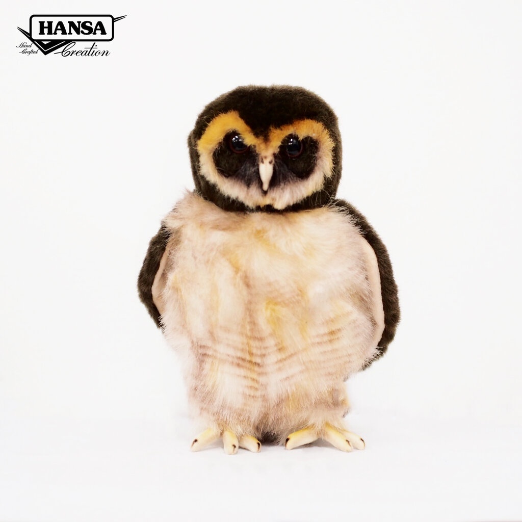 8082 นกเค้าป่าสีน้ำตาล Asian Brown Wood Owl