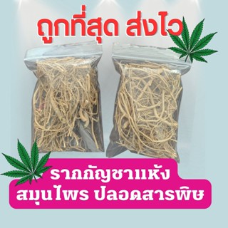 ถูกที่สุด รากกัญ(ชา แห้ง สายพันธ์นอก  ชาสมุรไพร  ลดไข้ แก้ปวด ป้องกันโรคอ้วน ลดระดับคอเลสเตอรอล