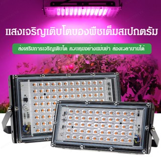 ไฟปลูกพืช LED ที่ช่วยเติมเต็มแสงให้กับพืช ช่วยให้พืชสวยงามและเจริญเติบโตได้ดี