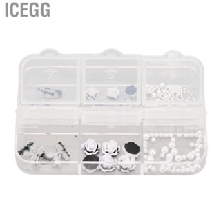 Icegg Black White Nail Charms  Vintage Nail Charms Set Decor Glittering Storage Box  for Salon