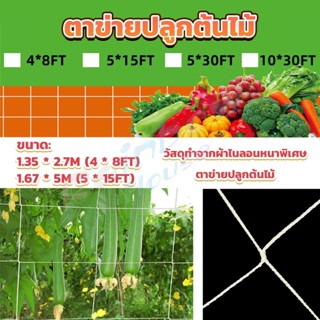 R.H. ตาข่ายปลูกต้นไม้ ตาข่ายปลูกพืช ตาข่ายพืชสมุนไพร Plant net