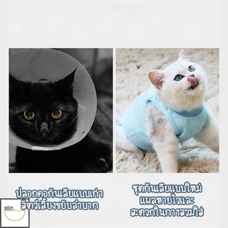 FurryCuddle พร้อมส่ง ชุดกันเลียแผล เสื้อแมว ชุดหลังผ่าตัดแมว ชุดสัตว์เลี้ยง เสื้อหลังทำหมัน ช่วยให้แผลหายไว MIP199