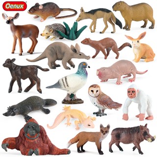 Oenux ใหม่ โมเดลฟิกเกอร์ PVC รูปสัตว์ป่า Orangutan Pigeon Hedgehog Aardvark Capybara ของเล่นสําหรับเด็ก