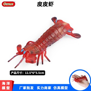 ★ผู้ผลิต ขายส่ง★ของเล่นโมเดลสัตว์ทะเลจําลอง Pipi Shopee Pisserie Shrimp Aunt ของเล่นเสริมการเรียนรู้ สําหรับเด็กปฐมวัย