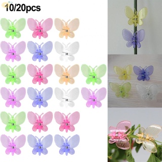 【VARSTR】10/20Pcs Plastic Fix Clips Orchid Vine Clip Garden Support Flowers/Plant Clips