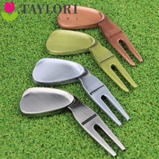 Taylor1 อุปกรณ์ทําความสะอาดร่องไม้กอล์ฟ ทนทานต่อการกัดกร่อน กันสนิม สําหรับไม้กอล์ฟ