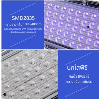 Lighting หลอดไฟ UV ไฟปลูกต้นไม้ 50W 100W 300W 395NM กันน้ำ สปอร์ตไลท์ LED Grow Light พร้อมสวิตช์เปิด/ปิด สายไฟยาว 1.5 ม