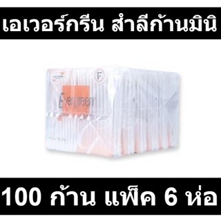 เอเวอร์กรีน สำลีก้านมินิ 100 ก้าน แพ็ค 6 ห่อ รหัส 201575