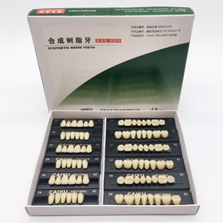 Dental equipment 28x3 synthetic resin material for dental