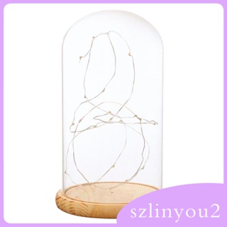 [szlinyou2] โคมไฟตั้งโต๊ะ LED ใช้แบตเตอรี่ สําหรับตกแต่งบ้าน