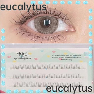 Eucalytus1 ขนตาปลอม แบบใส ทรงตัว V 5 6 7 มม. สําหรับผู้หญิง