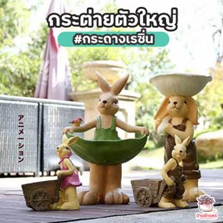 กระถางเรซิน กระต่ายตัวใหญ่ ไม้อวบน้ำ กุหลาบหิน cactus&amp;succulent หลากหลายสายพันธุ์