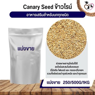 ข้าวไรน์ Canary seed อาหารนก กระต่าย หนู กระต่าย กระรอก ชูก้า (250G / 500G / 1KG)