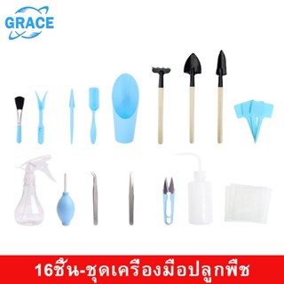 Grace อุปกรณ์ปลูกแคคตัสกระถาง อุปกรณ์ปลูกต้นไม้ขนาดเล็ก ชุดปลูกแคคตัสสำหรับมือใหม่ อุปกรณ์จัดสวน Gardening Tools cactus