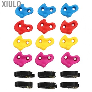 Xiulo Rock Wall Holds  Textured Design Safety Sturdy Rock Climbing Holds Strong Load Bearing  12Pcs with Straps for Indoor for Climbing Wall for Kids