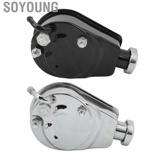 Soyoung Steering Pump  Small Starting Torque Car Power Steering Pump Sensitve  for Hose Barb