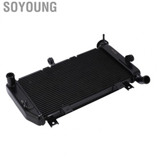 Soyoung Motorcycle Radiator Cooling Aluminium Alloy Transmission Cooler High Efficiency Original Standard Good Heat Dissipation for CMX