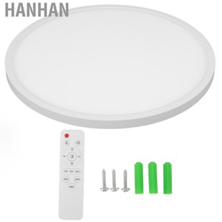 Hanhan Flush Mount Ceiling Light Dimmable 3 Light Mode RGB  Ceiling Light