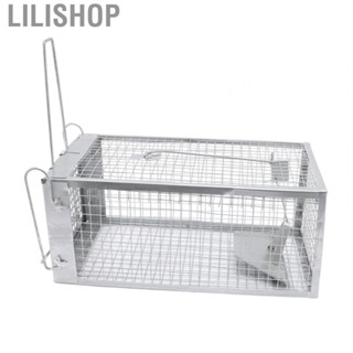 Lilishop 1 Door Rat Trap  Highly Sensitive Rat Trap Fully Enclosed Iron Sturdy  for Chipmunk for Business Units