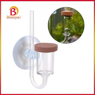 [Blesiya1] เครื่องหมายฟองอากาศ CO2 แบบใส อุปกรณ์เสริม สําหรับตู้ปลา