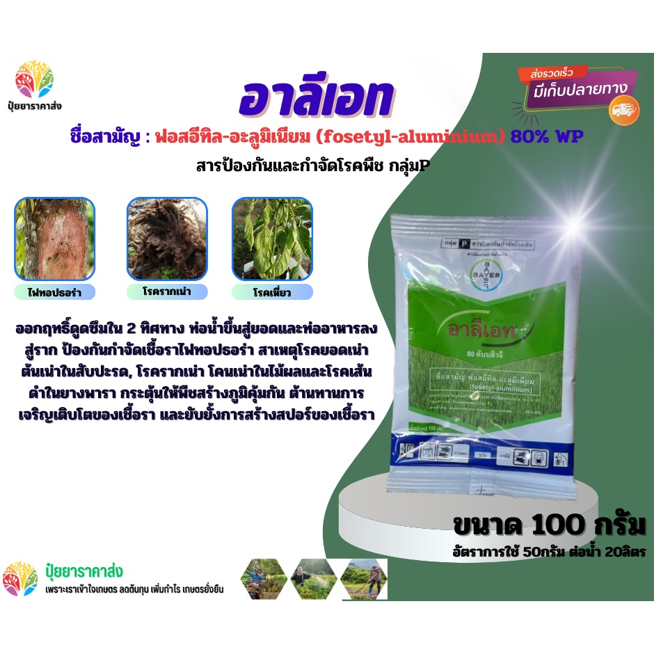 ฟอสอีทิล-อะลูมิเนียม อาลีเอท 100กรัม ออกฤทธิ์ดูดซึมใน 2 ทิศทาง ท่อน้ำขึ้นสู่ยอดและท่ออาหารลงสู่ราก 
 เชื้อราไฟทอปธอร่า