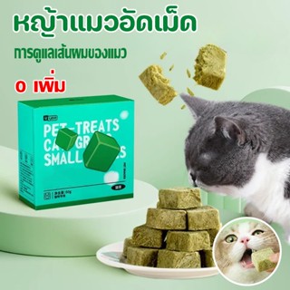 ✨COD😻หญ้าแมวอัดเม็ด ขนมแมว หญ้าแมวพร้อมทาน กำจัดขนลูกแมว บำรุงขน ขนมสัตว์เลี้ยง