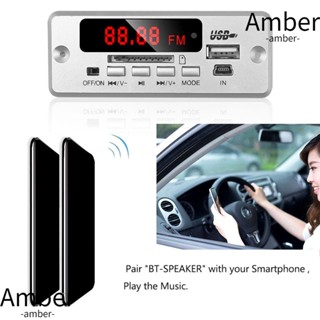 Amber บอร์ดถอดรหัสเสียงสเตอริโอ เครื่องเล่น MP3 บลูทูธ สําหรับรถยนต์