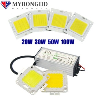 Myronghd ชิปหลอดไฟ LED COB สีขาวอบอุ่น สําหรับหลอดไฟฟลัดไลท์