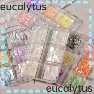 Eucalytus1 เปลือกหอยธรรมชาติ สําหรับตกแต่งเล็บ