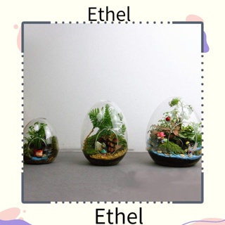 Ethel1 ขวดแก้ว มอส สวนขวด ไฮโดรโปนิก ไมโครภูมิทัศน์