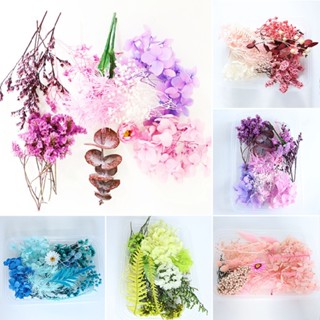 New Real Dried Flowers Pressed Leaves for Epoxy Resin Jewelry Making DIY Craft