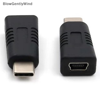 Blowgentlywind อะแดปเตอร์สายเคเบิลข้อมูล USB ตัวเมีย เป็น Type C ตัวผู้ ขนาดเล็ก T Type ตัวเมีย เป็นสายเคเบิลข้อมูล BGW