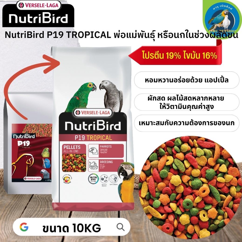 สุดยอดนูทรี !! NutriBird P19 tropical ขนาด 10kg (อาหารเม็ดสำเร็จรูป นกปากขอเตรียมความพร้อมเป็นพ่อแม่