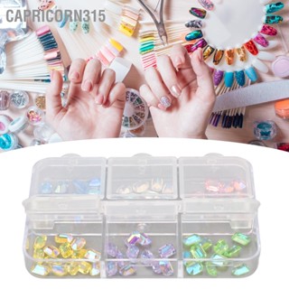 Capricorn315 อุปกรณ์ทำเล็บ 6 กล่องเล็บ Rhinestones DIY เล็บคริสตัล รูปทรงแปดเหลี่ยม