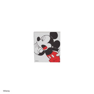 Koncept furniture รูปภาพพร้อมแขวน Disney รุ่น MF03-S-4 (30 x 35 x 4 ซม.  *สินค้าจำหน่ายแยกชิ้น)