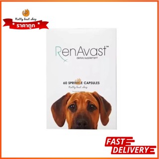 Renavast for Dog ยกกล่อง60เม็ด อาหารเสริมโปรตีน บำรุงไต exp8/2024