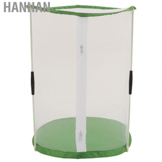 Hanhan Insect Observation Cage  Firm Interface Transparent Insect Mesh Cage  for Ornamental Plants