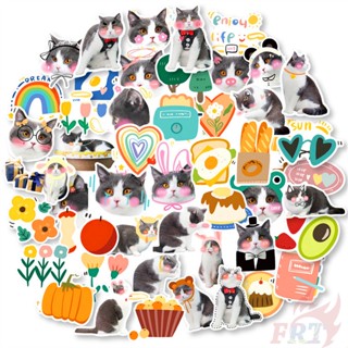 50 ชิ้น / ชุด ❉ สติกเกอร์ Miss Shy Cat สําหรับติดตกแต่ง ❉ สติกเกอร์แฟชั่น กันน้ํา ลาย Doodle DIY