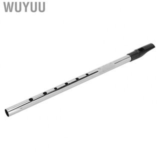 Wuyuu Whistle Flute  Irish Accurate Tune Wind Musical 6 Holes for Beauty Salon Beginner