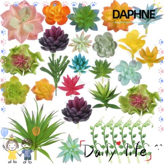 Daphne พืชอวบน้ําประดิษฐ์ สําหรับตกแต่งสวน ห้องนั่งเล่น DIY