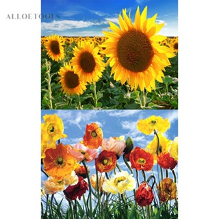 [alloetools.th] ภาพวาดสีน้ํามัน รูปดอกไม้ สวยงาม ไร้กรอบ ขนาด 50X40 ซม.