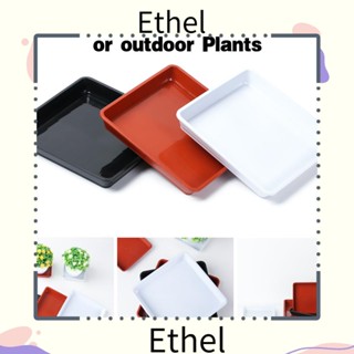 Ethel1 ถาดพลาสติก ทรงสี่เหลี่ยม ทนทาน สําหรับใส่ซอสพืช 1 ชิ้น