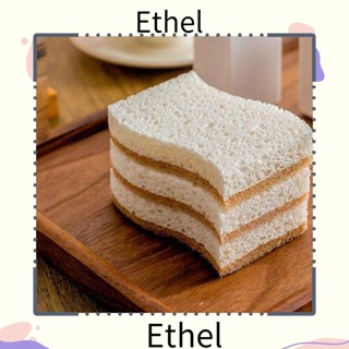 Ethel1 ฟองน้ําขัดทําความสะอาดห้องครัว ทําความสะอาดง่าย รูปตัว S ดูดซับได้ดี 4 ชิ้น