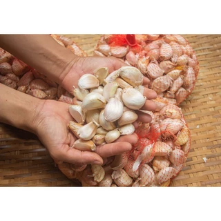กระเทียมปิงปองแบบกลีบ กระเทียมจีนหัว กระเทียมจีนกลีบ คัดเกรดส่งออก สดใหม่ ขนาดครึ่งกิโล คุณภาพดี ขาว เนื้อแน่น กลีบใหญ่