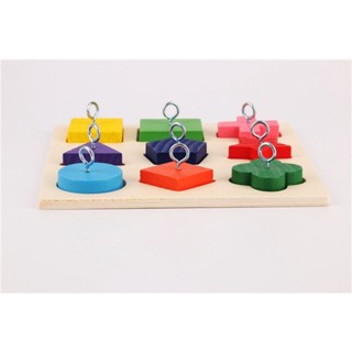 Bird Toys E-11 ของเล่นฝึกทักษะนกแก้ว บล็อกไม้ 9 ทรง