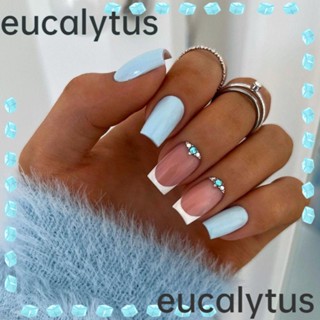 Eucalytus1 เล็บปลอม แบบเต็มรูปแบบ สไตล์ฝรั่งเศส สําหรับตกแต่งเล็บ