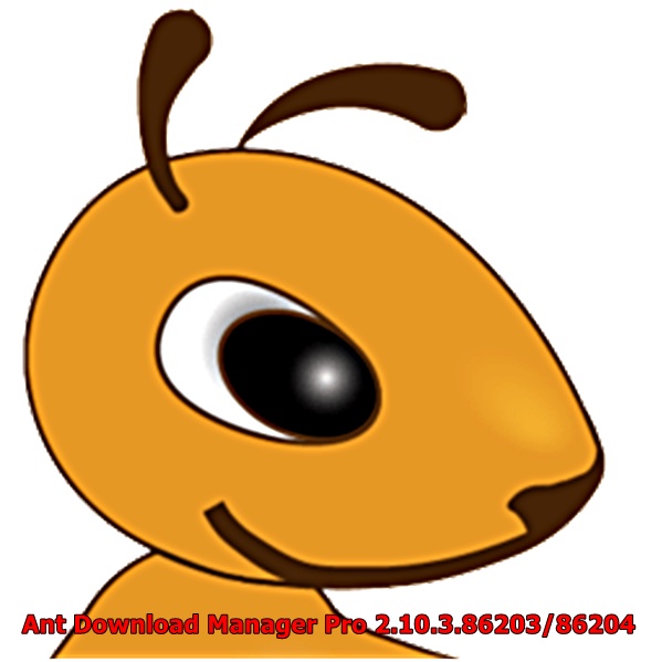 Ant Download Manager Pro 2.10.3.86203/86204 โปรแกรมช่วยดาวน์โหลด